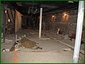 building-IMG_1713.JPG